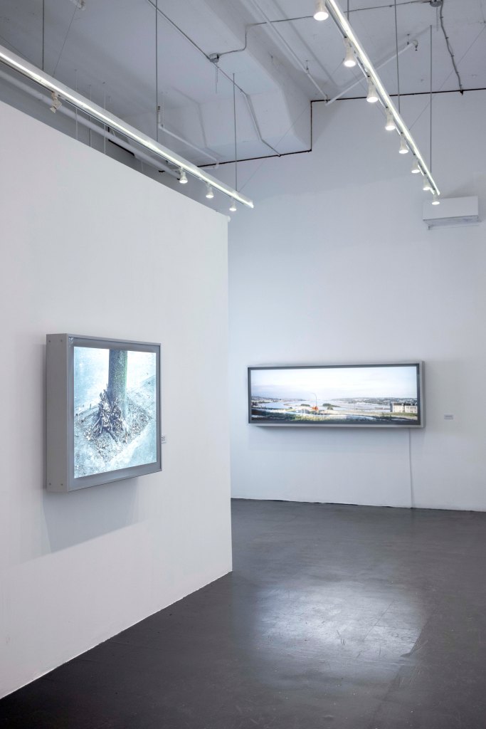 Jeff Wall: Views In And Out Of Vancouver (gallery view)