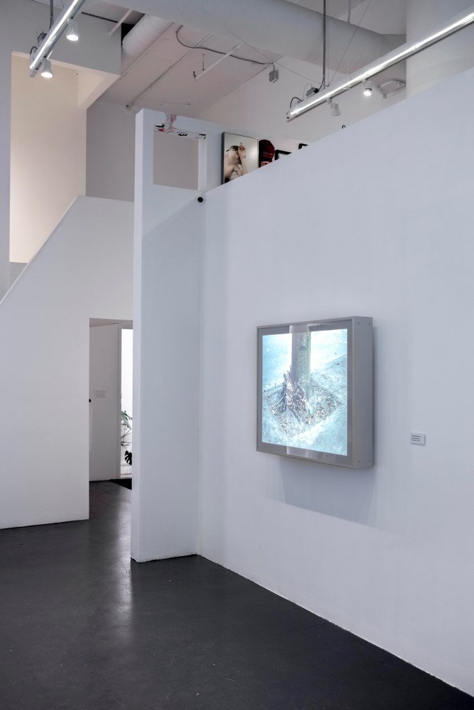 Jeff Wall: Views In And Out Of Vancouver (gallery view)